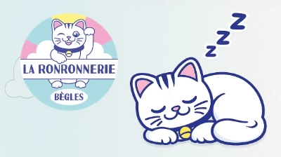 La Ronronnerie de Bègles — pension féline partenaire RQDT